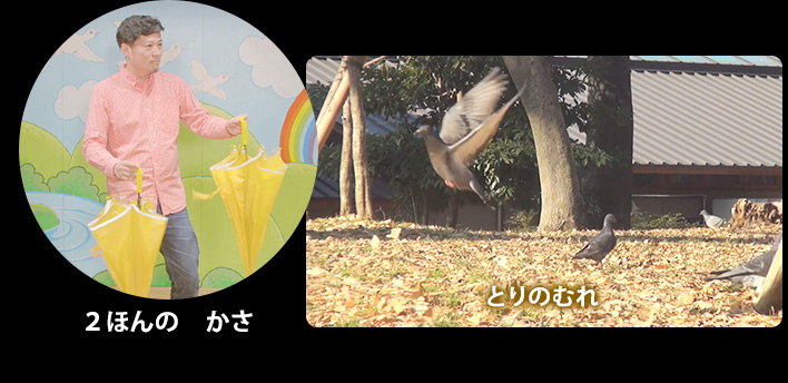 2ほんのかさ とりのむれ